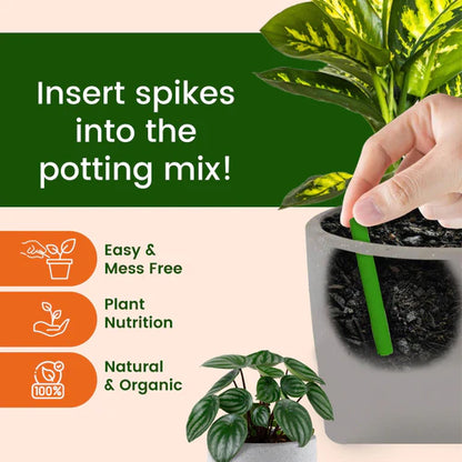 DR. Green's - Magic Plant Sticks [ Buy 1 Get 1 Free ]