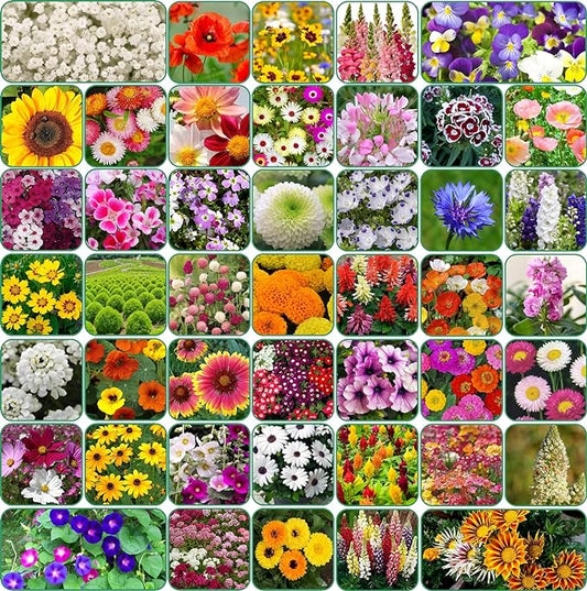 100 Varieties Of Flower Seeds + Free Growth Supplement!